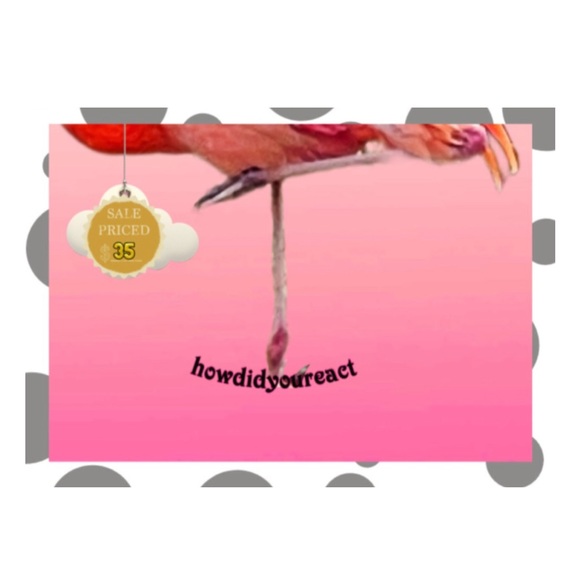 “Delicate Balance” Pink Flamingo | Photography/Digital Design 11X14 Poster board - Picture 2 of 2